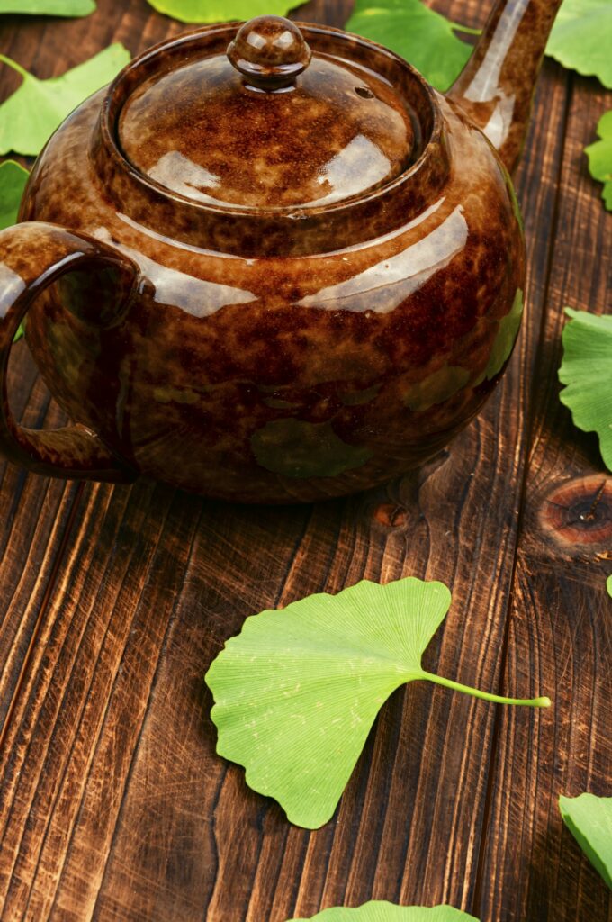 Ginkgo biloba in traditional Chinese medicine.