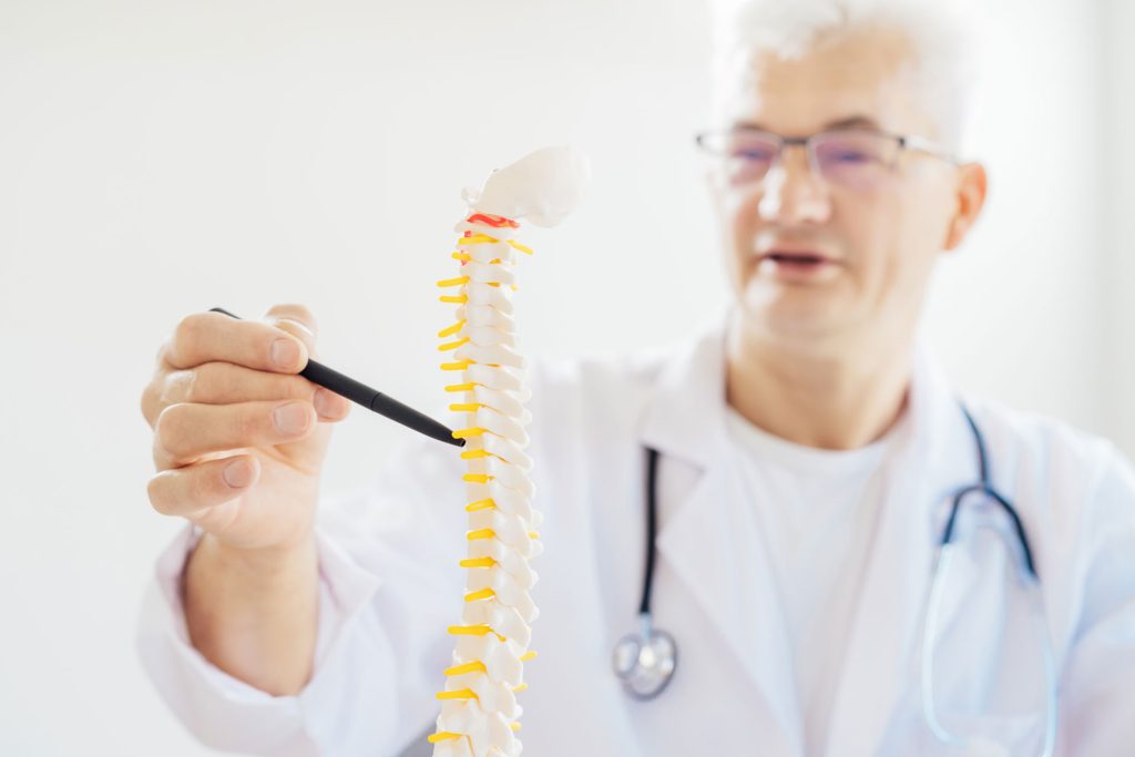 Male doctor pointing to a spine model.